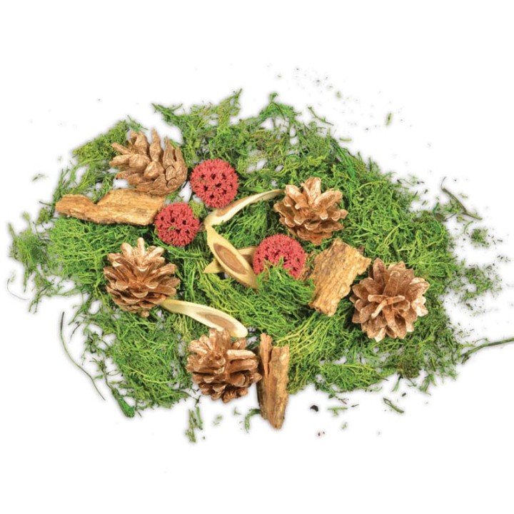 Pot pourri mélange pomme de pin, mousse, forêt, 80 g