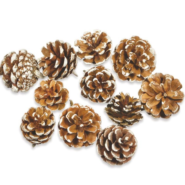 Pot pourri mélange pommes de pin 200 g