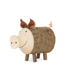 cochon Borstel taille 2 