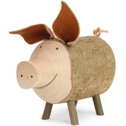cochon Borstel taille 5 
