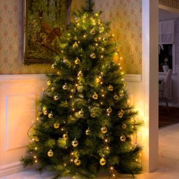 Voile guirlande pour sapin de Noël, 250 diodes LED 