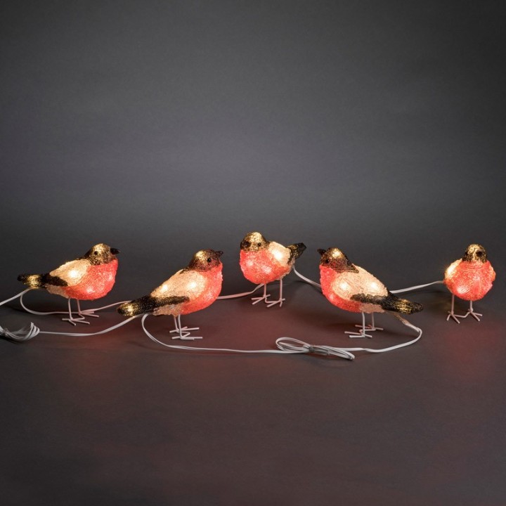Oiseaux lumineux Led, 5 rouge-gorge