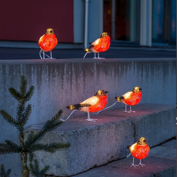 Oiseaux lumineux Led, 5 rouge-gorge