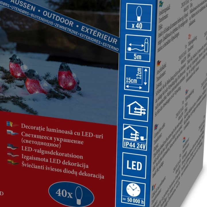 Oiseaux lumineux Led, 5 rouge-gorge