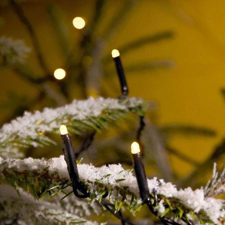 Guirlande lumineuse LED extérieur pour illumination  Noël du jardin, 20 diodes
