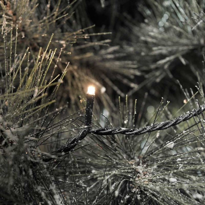 Guirlande lumineuse LED extérieur pour illumination jardin, 80 diodes