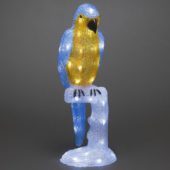 Perroquet lumineux 50 cm en acrylique, 48 diodes blanc chaud