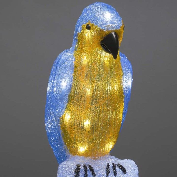 Perroquet lumineux 50 cm en acrylique, 48 diodes blanc chaud