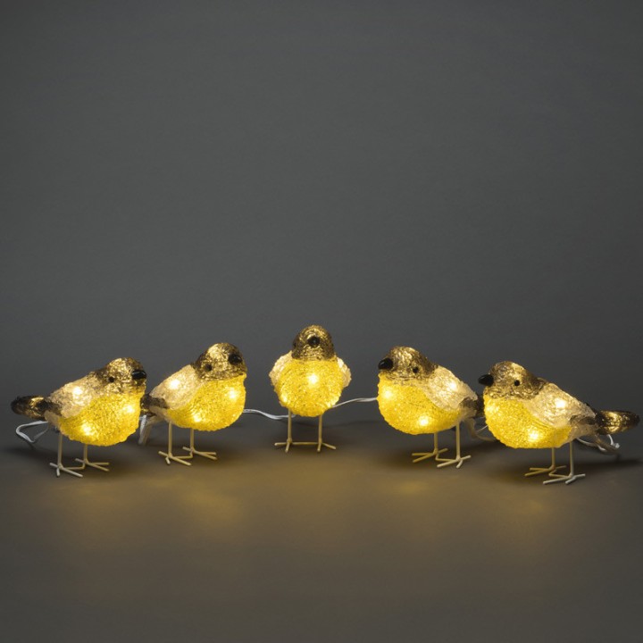 Oiseaux lumineux Led en acrylique, 5 chardonnerets