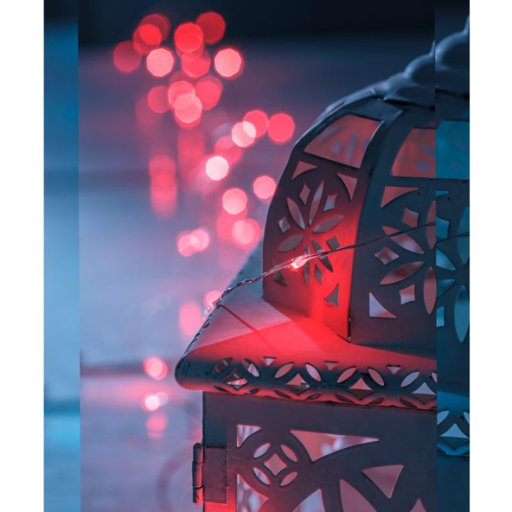Guirlande lumineuse avec changement de couleur, 50 diodes LED