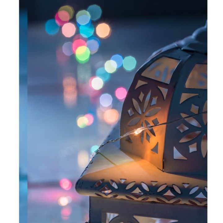 Guirlande lumineuse avec changement de couleur, 50 diodes LED