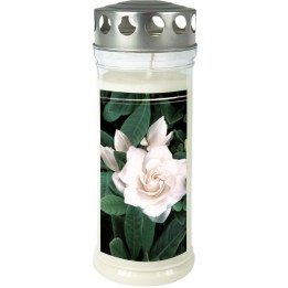 Bougie funéraire Gardenia, 21,5 cm