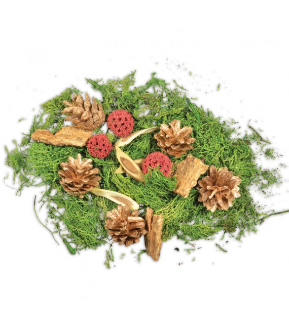 Pot pourri mélange pomme de pin, mousse, forêt, 80 g